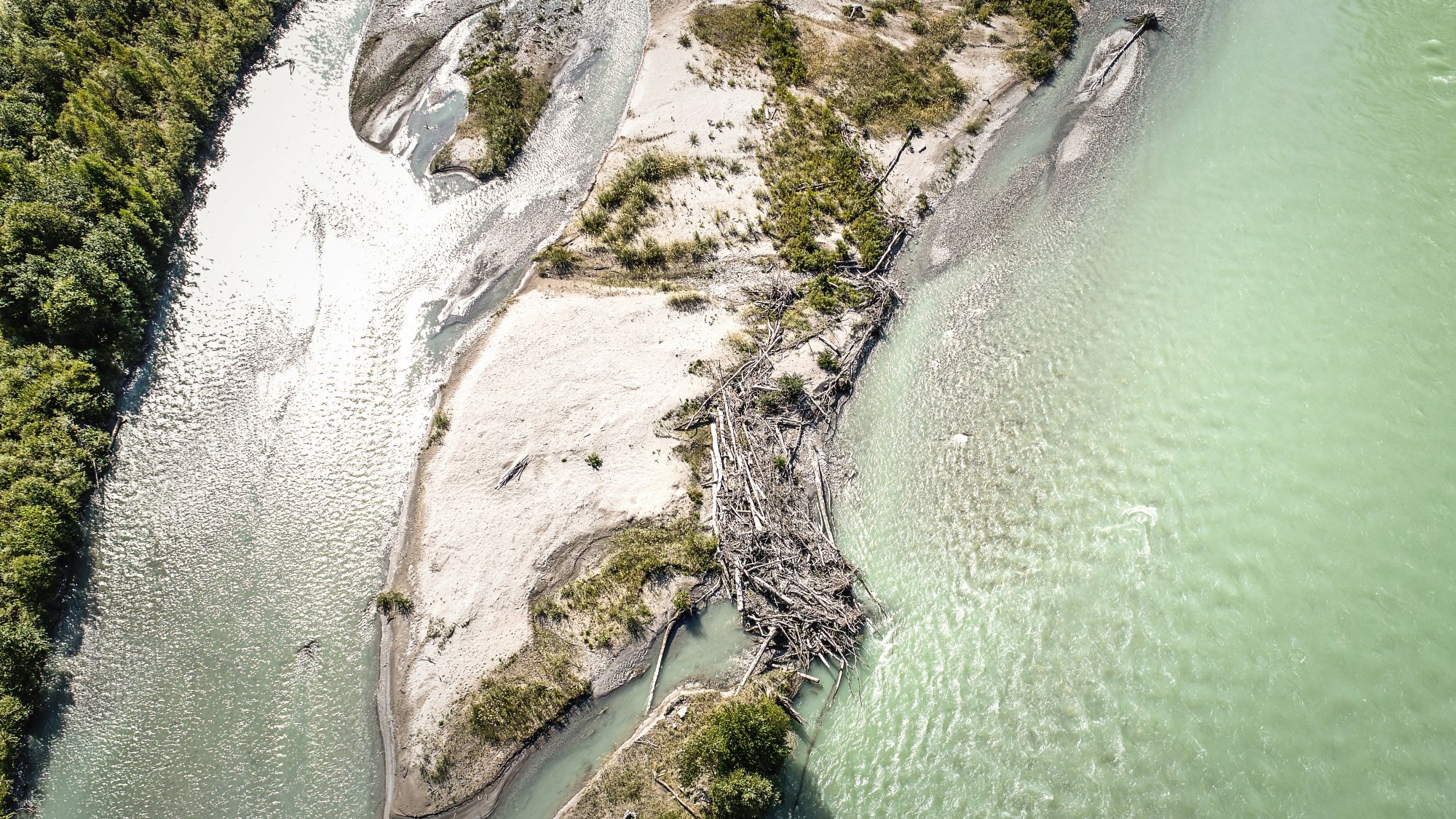 Rh&auml;z&uuml;nser Rheinauen